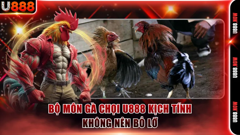 Bộ môn gà chọi U888 kịch tính không nên bỏ lỡ