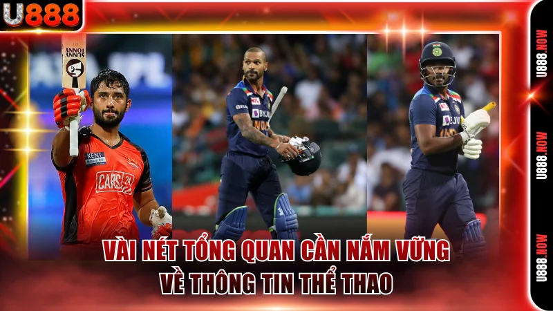 Vài nét tổng quan cần nắm vững về thông tin thể thao